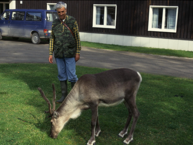 Specie interessanti dalla Lapponia